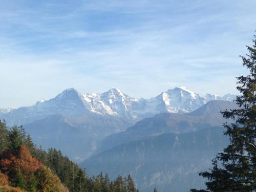 App. Seeblick Top of Interlaken - image 11