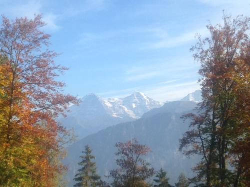 App. Seeblick Top of Interlaken - image 4