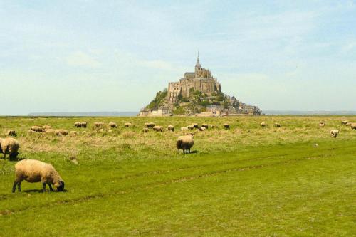 Semi-detached house St- Georges-de-la-Rivière - NMD04196-L gîte à louer Saint-Georges-de-la-Rivière