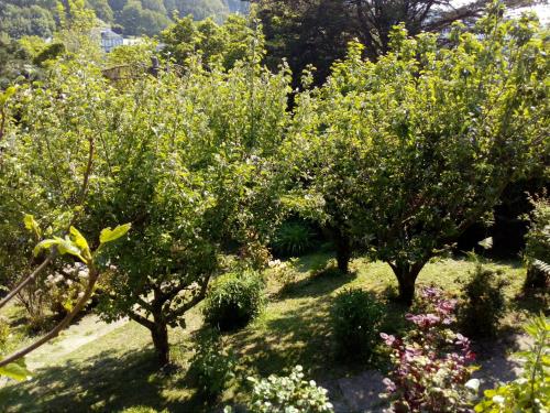 12 Impasse Damilaville gîte à louer Étretat