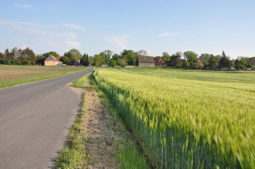 Skats, Ferienhaus Caselow 23 in Bergholz (Mecklenburg-Vorpommern)