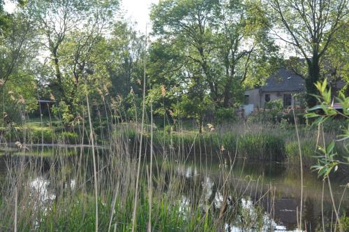Skats, Ferienhaus Caselow 23 in Bergholz (Mecklenburg-Vorpommern)