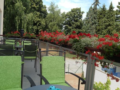 Apartmanovy penzion Park - image 7
