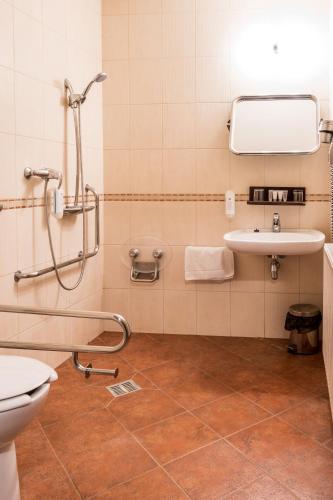 Hotel U Hejtmana Šarovce - image 4