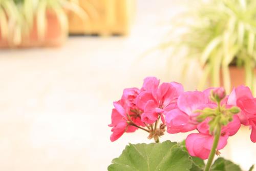 B&B d'Orleans - image 4