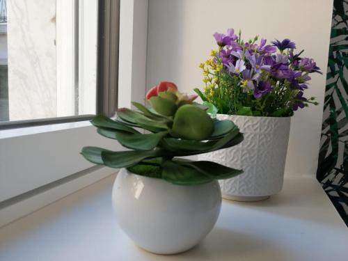 B&B Casa Malù – Naples, CO