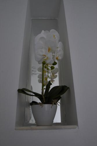 Superior Apartment image 6