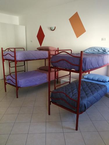 Bunk Bed in Mixed Dormitory Room