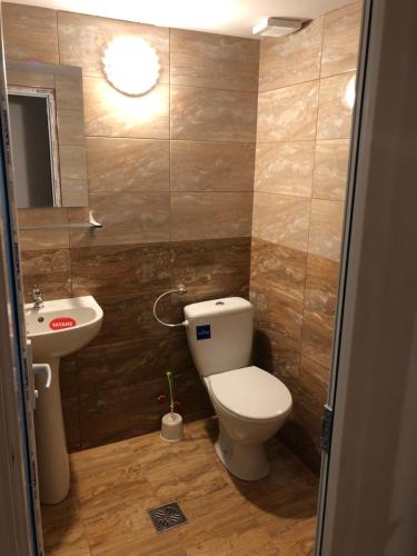 Pension AMIRA in Костінешть