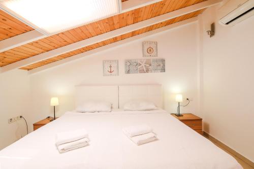 Penthouse Apartment image 10