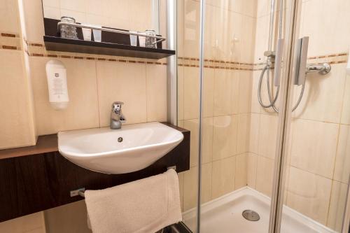 Hotel U Hejtmana Šarovce - image 8