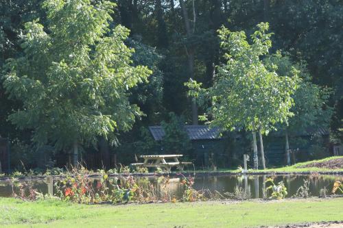 B&B Kamperfoelie - image 3