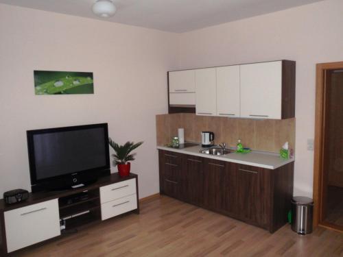 Apartmanovy penzion Park - image 6