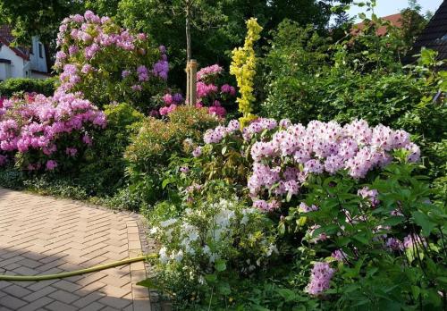 Haus Iffland Haus Iffland