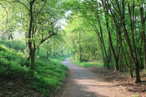 Alrededores, Troisdorf - Rotter See - 60 Qm - 1 bis 3 Personen in Troisdorf