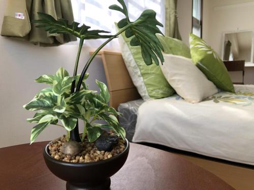 TerraceRin YN32 in Tomigusuku