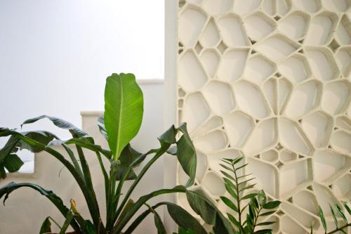 Apartamento de diseño con jacuzzi privado Apartamento de diseño con jacuzzi privado