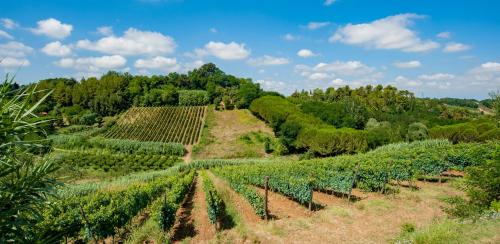 Agriturismo Il Maremmano