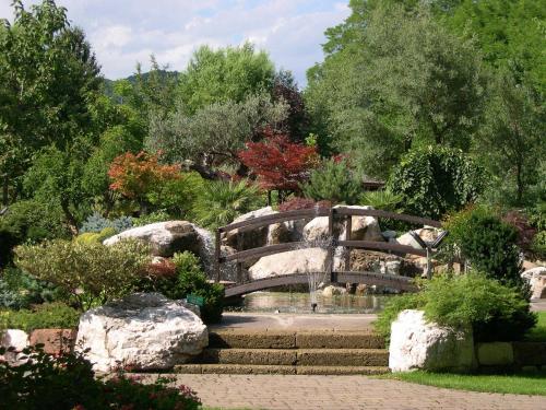 Al Giardino - image 7