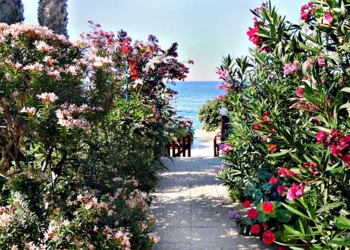 Rododafni Beach Apartments - image 7