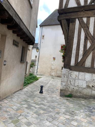 Le Petit Ecuyer photo 22