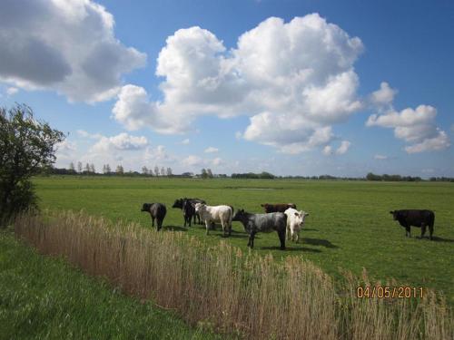 Landhaus op de Warft