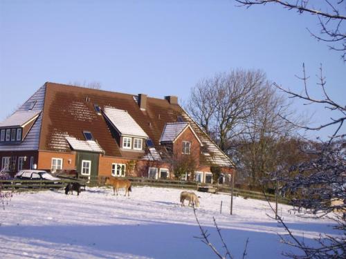 Landhaus op de Warft in Volervīka