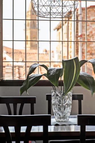 Very Special+Views in Front of Pitti Palace&Garden - image 3