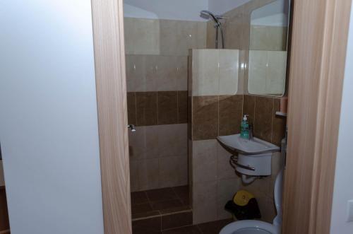 Casa Rezidentiala Pasteur