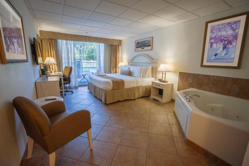 Stadium Hotel - image 8