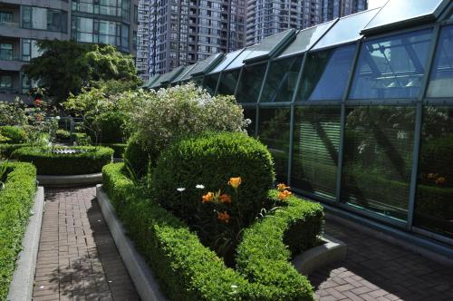 Rosedale On Robson Suite Hotel - image 4
