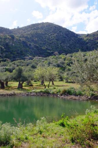  Sicilian Farmhouse casa vacanze, Pension in Sciara bei Caccamo