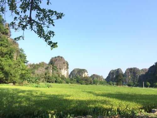 Tam Coc Vinh Thinh Homestay – Ninh Binh, OH