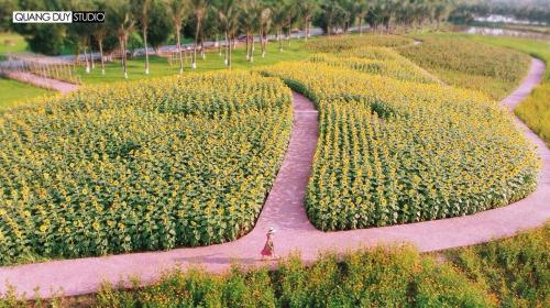 Garden, Sue homestay Ecopark in Van Giang
