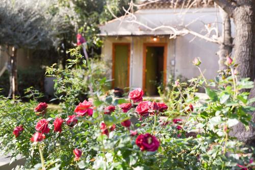 The White Cabins -Chateau Provence