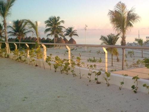 La Amada Residences Luxury in Cancún, Mexico