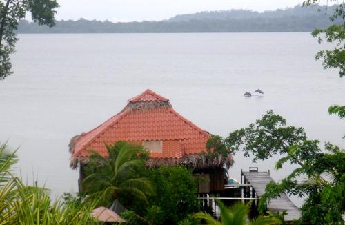 Kilátás, Dolphin Bay Hideaway in Isla Cristobal