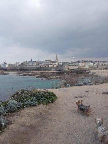 Saint Malo Paramé Le Beaulieu Saint Malo Book Your