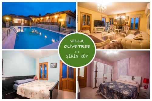  Villa Olive Tree Gokova Daily Weekly Rentals in 48640 Ula