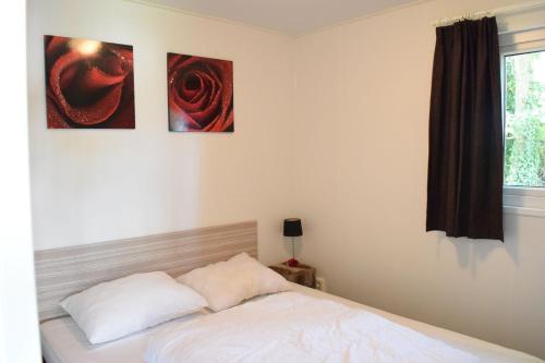 6 pers. Veluwelodge Wellness Plus - image 7