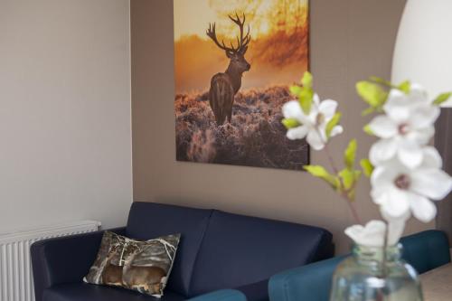 6 pers. Veluwelodge XL met Sauna - main image