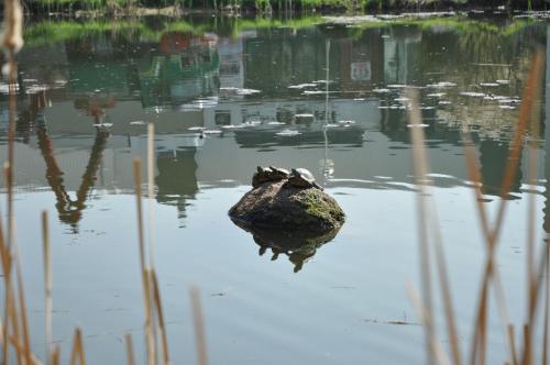 ACHAT Hotel Regensburg im Park