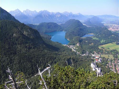 Ferienwohnung am Rosengarten