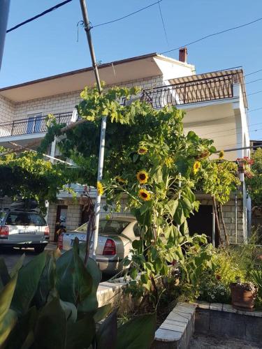 Apartments and rooms by the sea Arbanija Ciovo - 1125 - main image