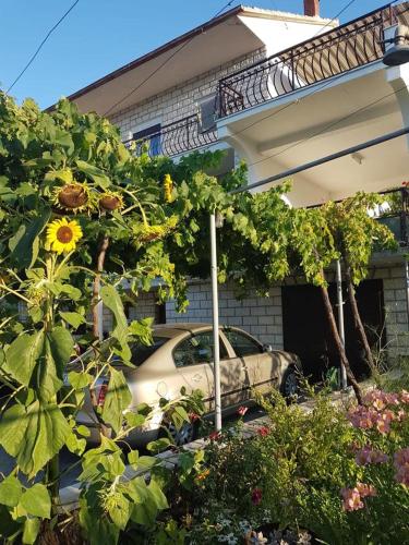 Apartments and rooms by the sea Arbanija Ciovo - 1125 - image 5