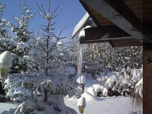Holiday park- Robinson - main image