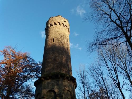 Holiday park- Scout - image 2
