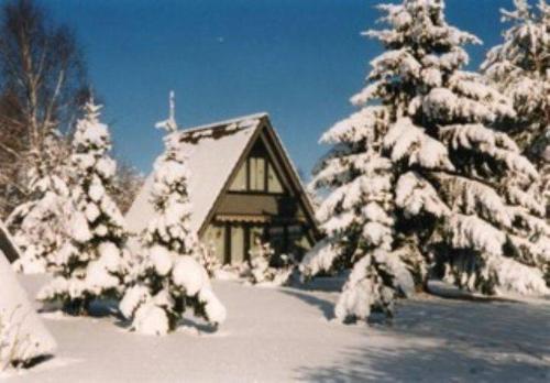 Holiday park- Winnetou - image 6