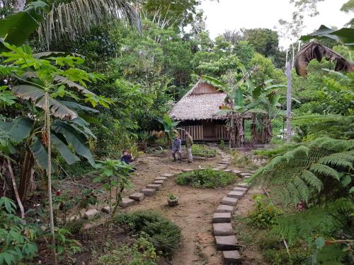 B&B Leticia - Omshanty Jungle Lodge - Bed and Breakfast Leticia