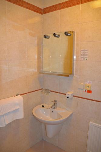 Hotel Havel - image 13